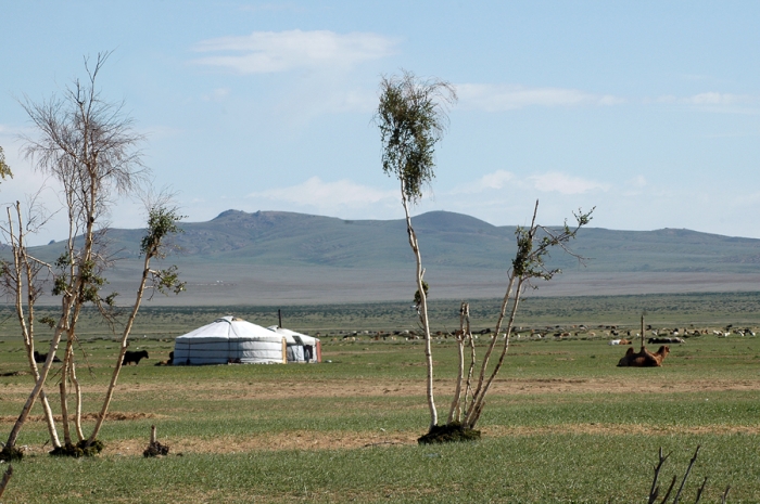 mongolia_2011_323